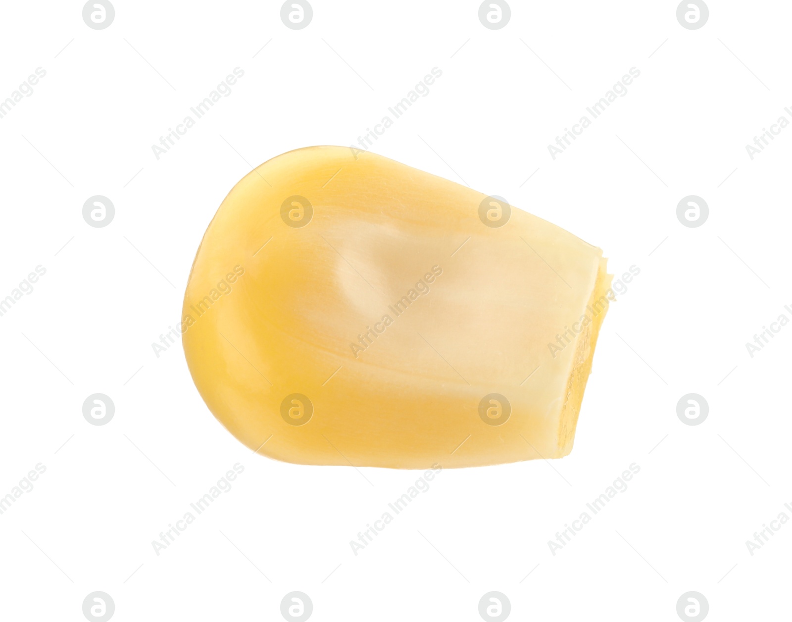 Photo of One fresh corn kernel isolated on white