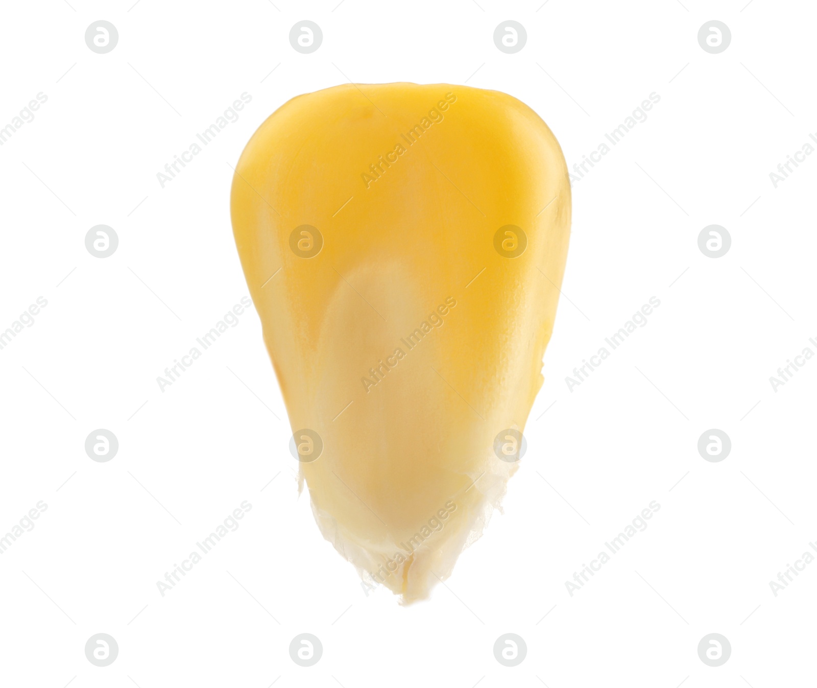 Photo of One fresh corn kernel isolated on white