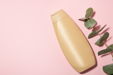 Photo of Bottle of shampoo and eucalyptus branch on pink background, flat lay. Space for text