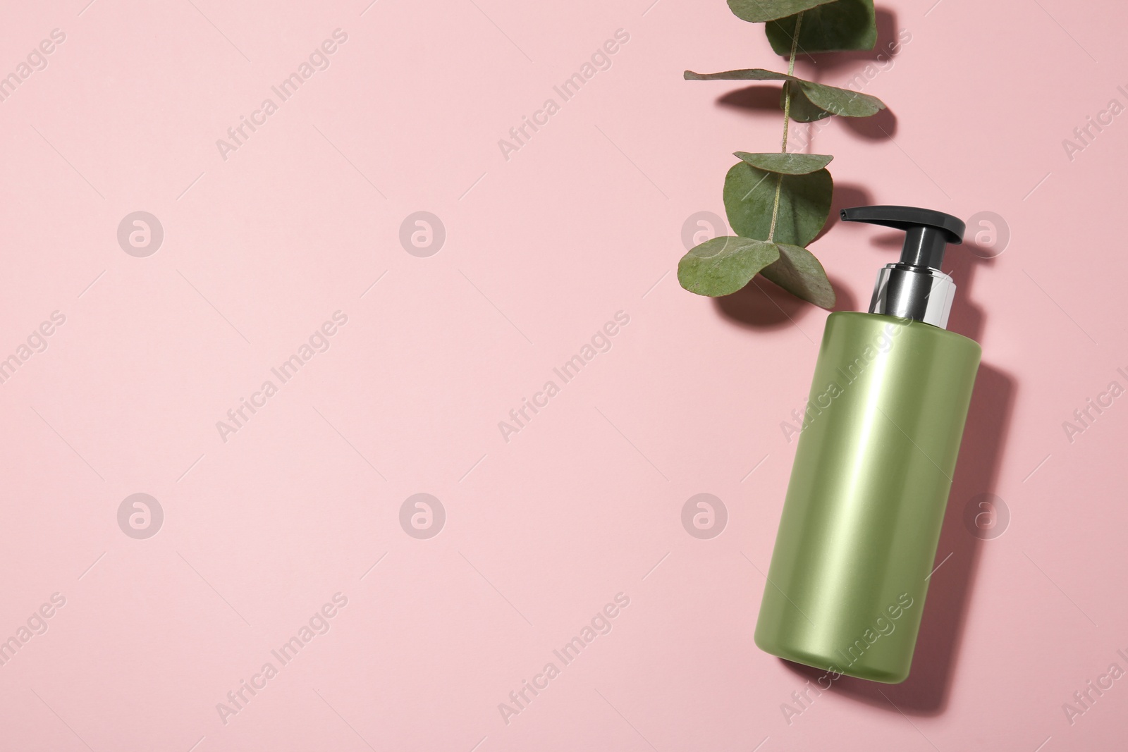 Photo of Bottle of shampoo and eucalyptus branch on pink background, flat lay. Space for text