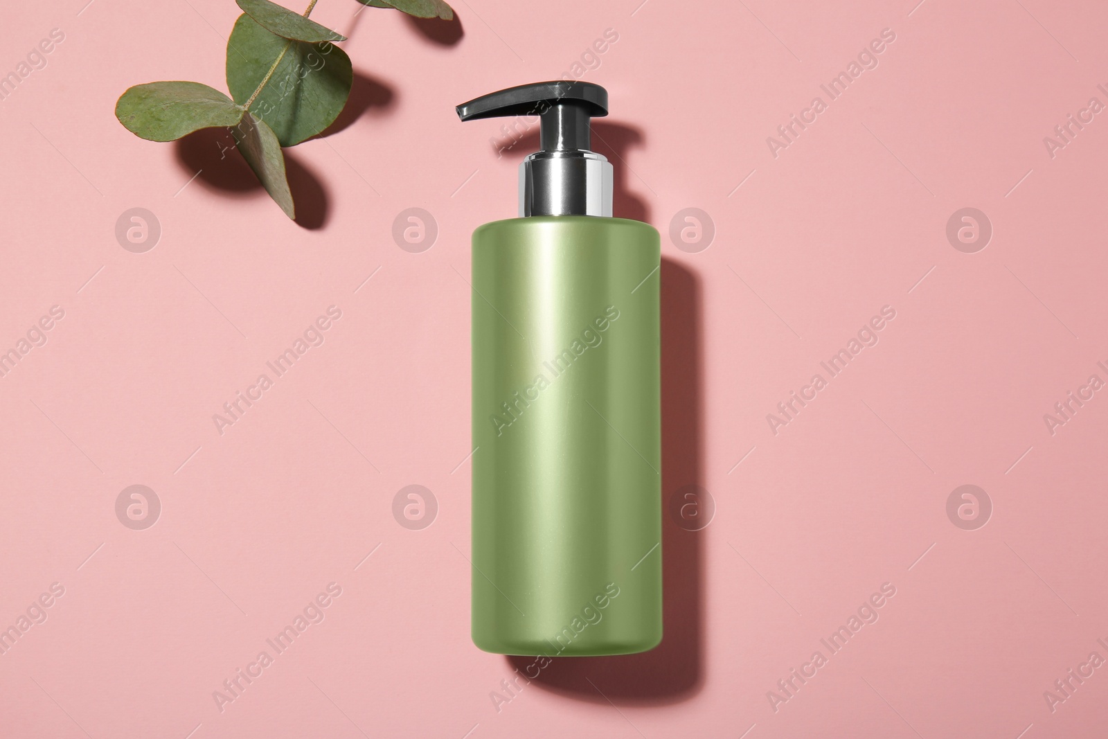 Photo of Bottle of shampoo and eucalyptus branch on pink background, flat lay