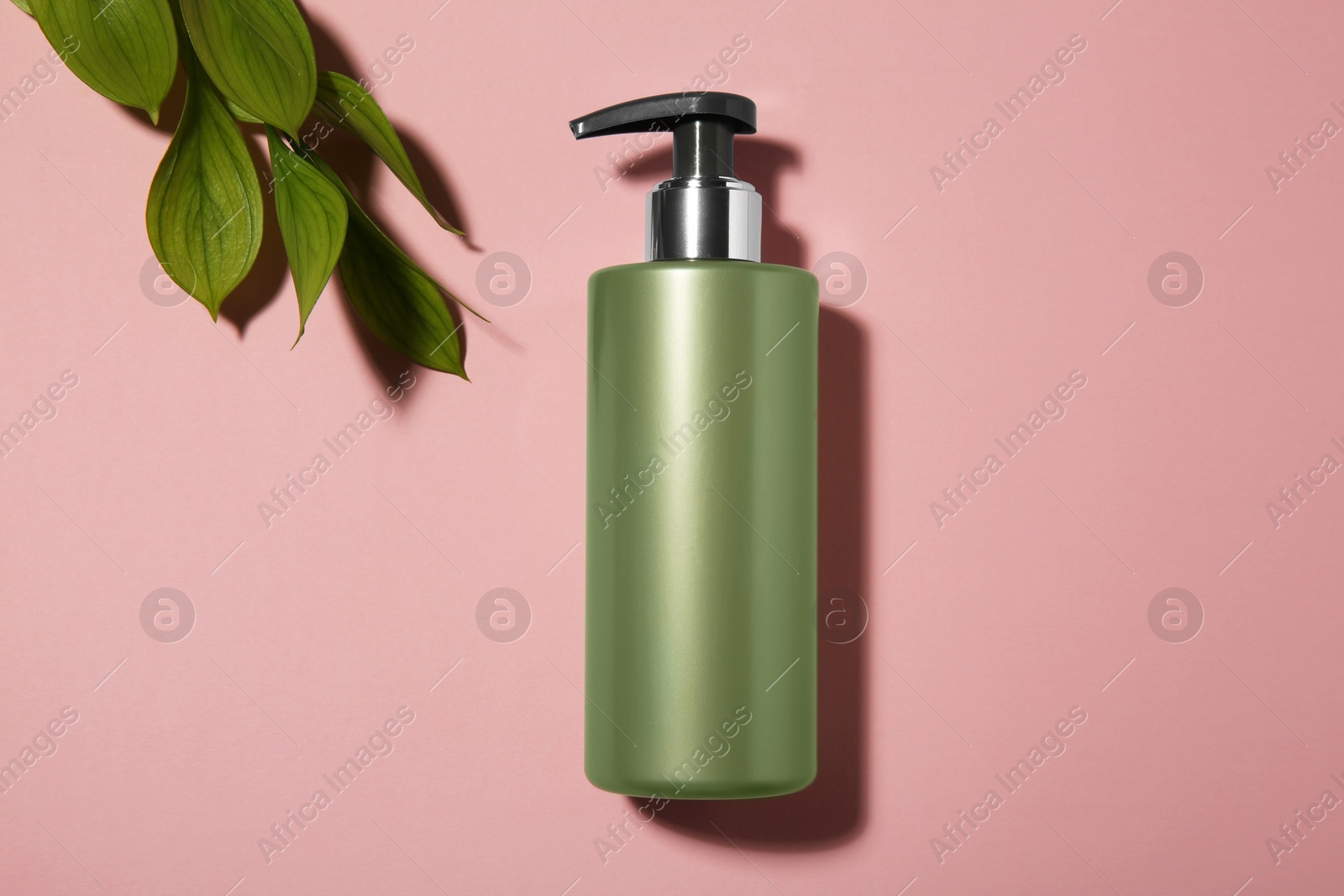 Photo of Bottle of shampoo and green leaves on pink background, flat lay