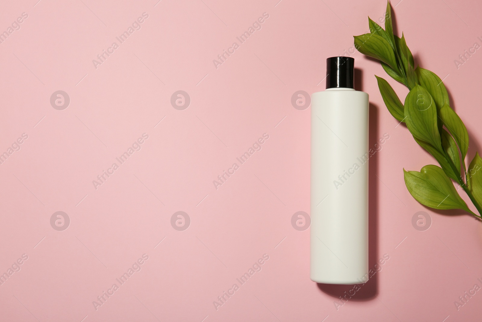 Photo of Bottle of shampoo and green branch on pink background, flat lay. Space for text