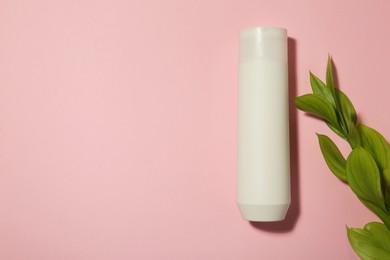 Bottle of shampoo and green branch on pink background, flat lay. Space for text