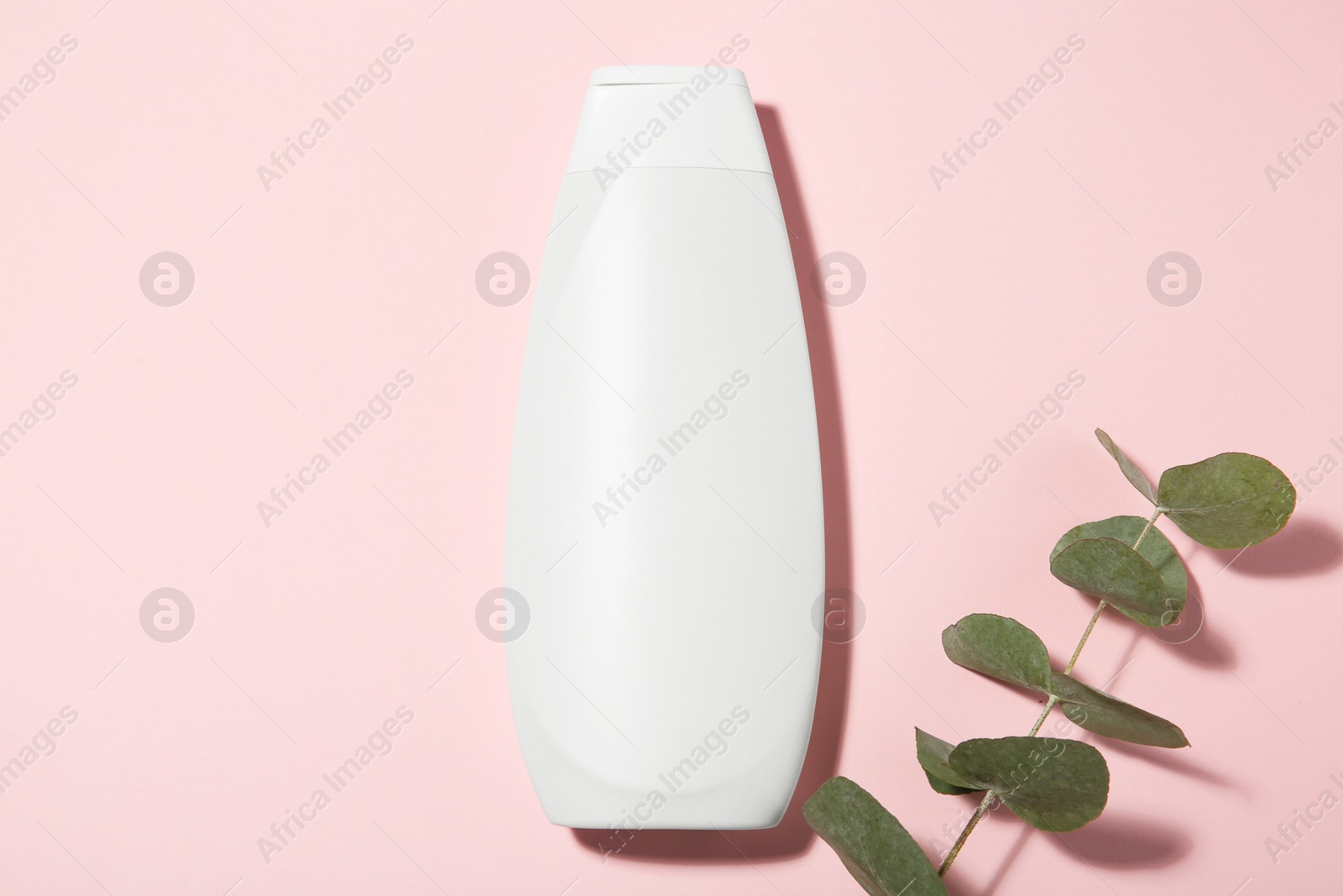 Photo of Bottle of shampoo and eucalyptus branch on pink background, flat lay