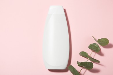 Photo of Bottle of shampoo and eucalyptus branch on pink background, flat lay