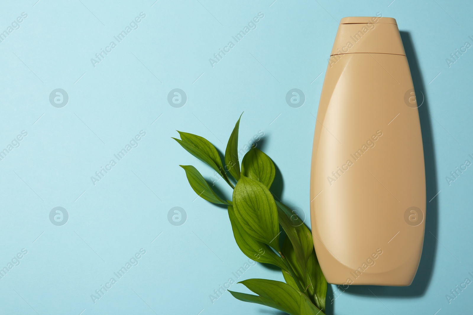 Photo of Bottle of shampoo and green branch on light blue background, flat lay