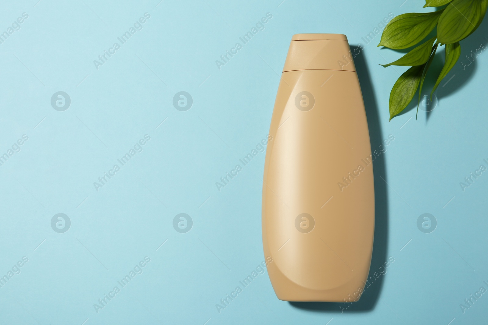 Photo of Bottle of shampoo and green leaves on light blue background, flat lay. Space for text