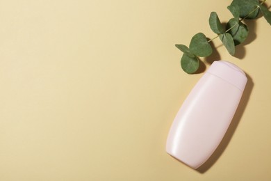 Photo of Bottle of shampoo and eucalyptus branch on beige background, flat lay. Space for text