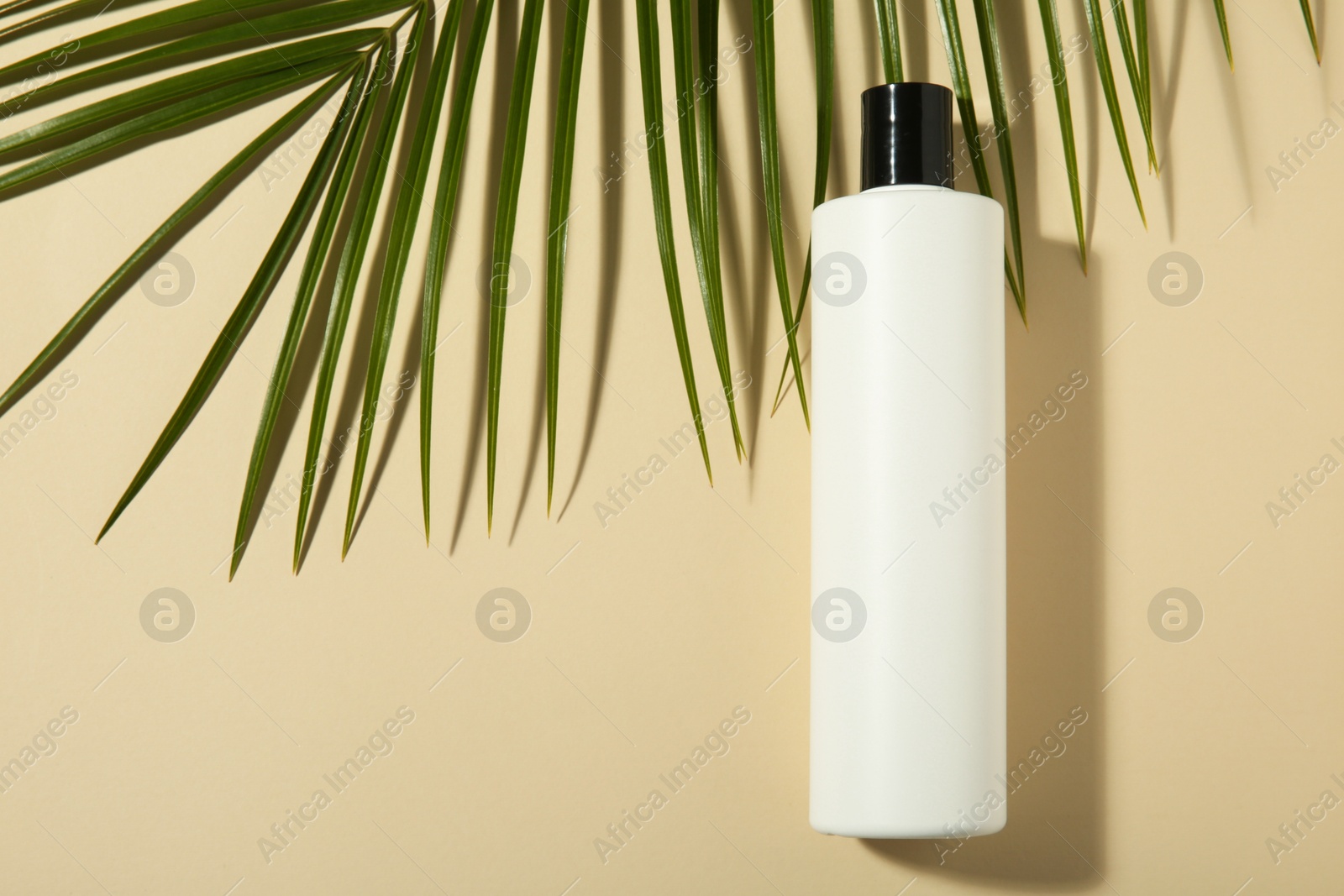 Photo of Bottle of shampoo and palm leaf on beige background, flat lay