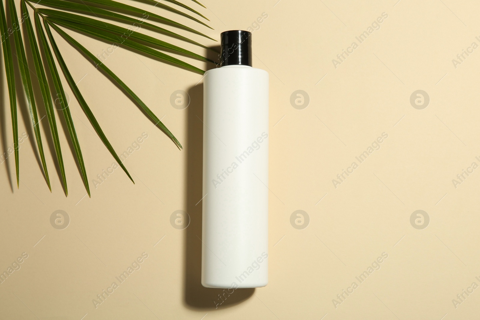 Photo of Bottle of shampoo and palm leaf on beige background, flat lay