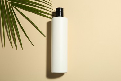 Photo of Bottle of shampoo and palm leaf on beige background, flat lay