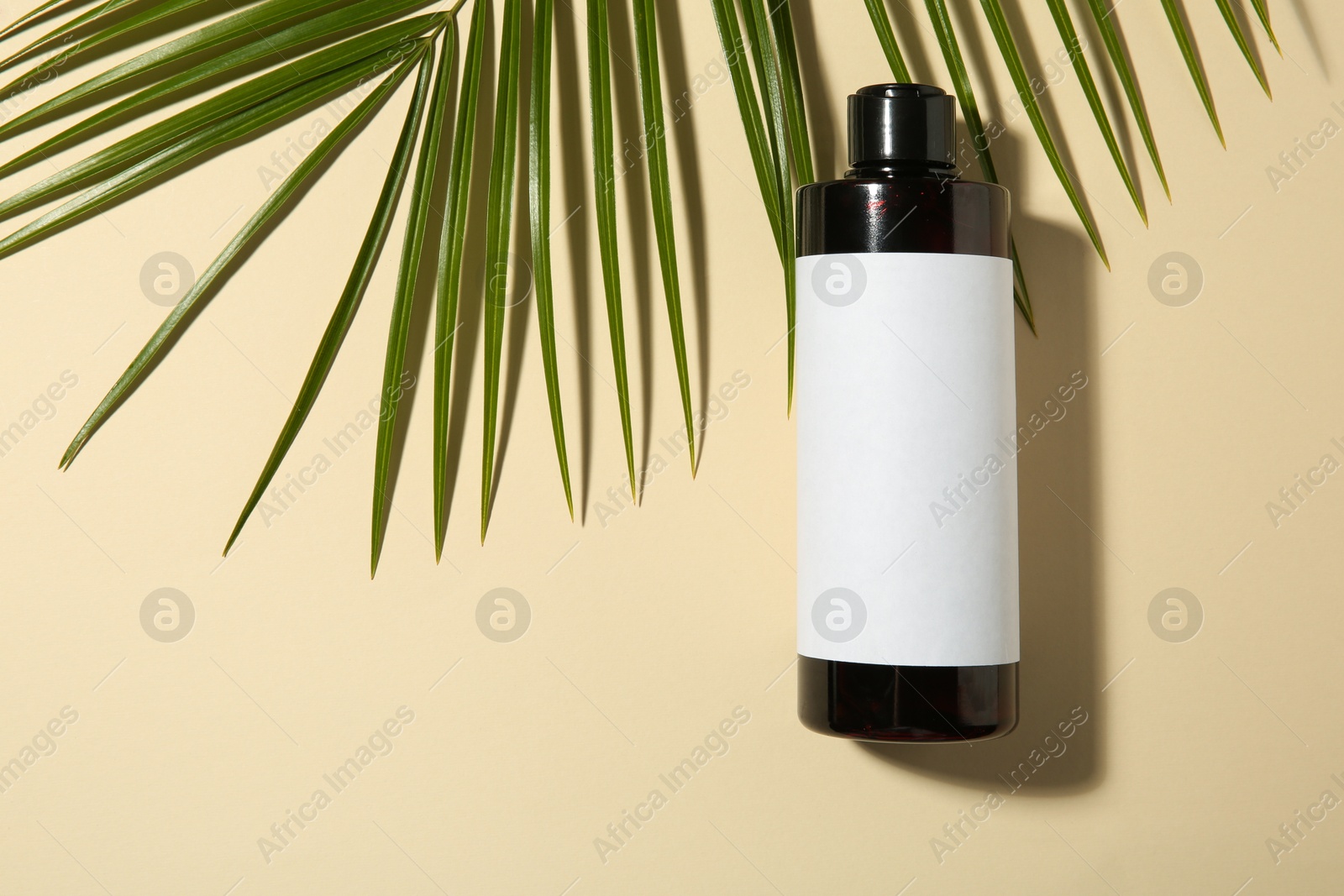 Photo of Bottle of shampoo and palm leaf on beige background, flat lay