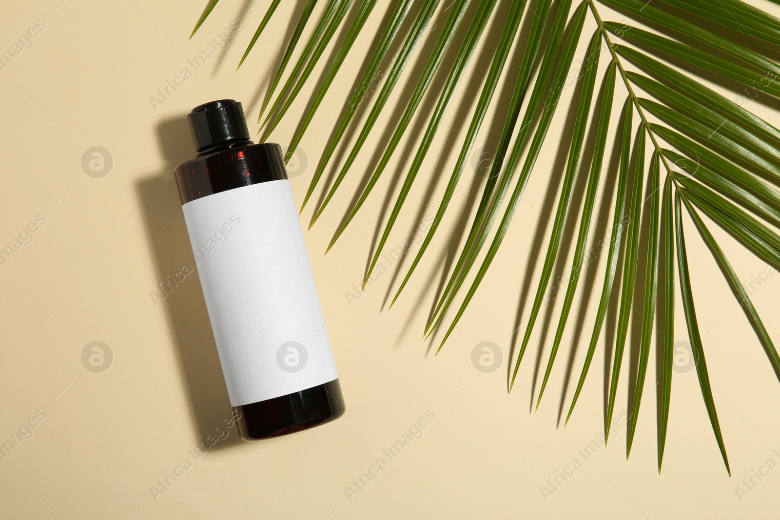 Photo of Bottle of shampoo and palm leaf on beige background, flat lay