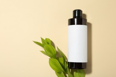 Photo of Bottle of shampoo and green branch on beige background, flat lay. Space for text