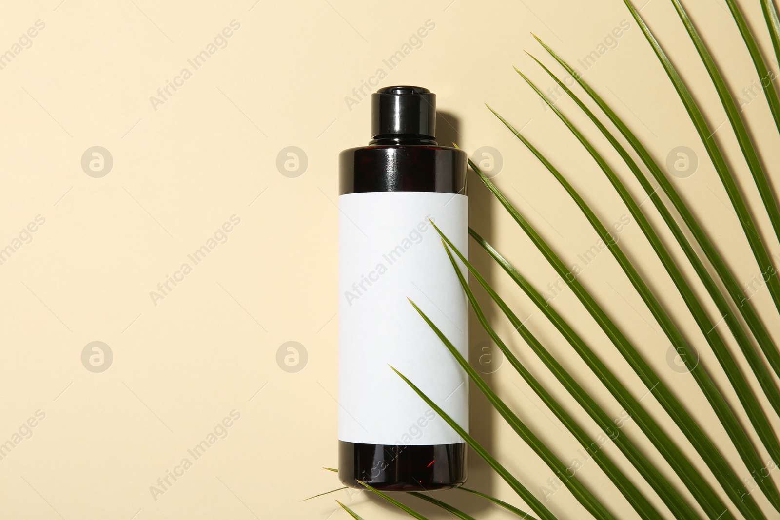 Photo of Bottle of shampoo and palm leaf on beige background, flat lay