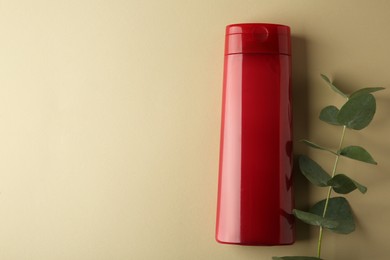 Photo of Bottle of shampoo and eucalyptus branch on beige background, flat lay. Space for text