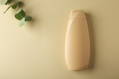 Photo of Bottle of shampoo and eucalyptus branch on beige background, flat lay. Space for text