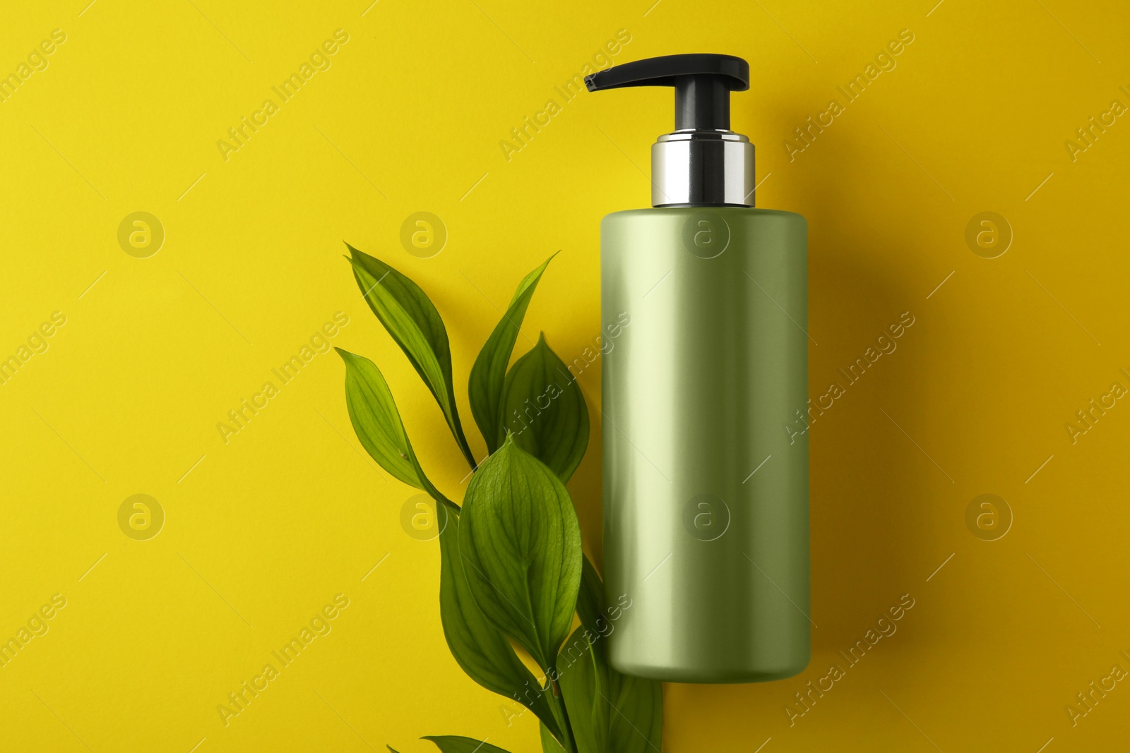 Photo of Bottle of shampoo and green branch on yellow background, flat lay