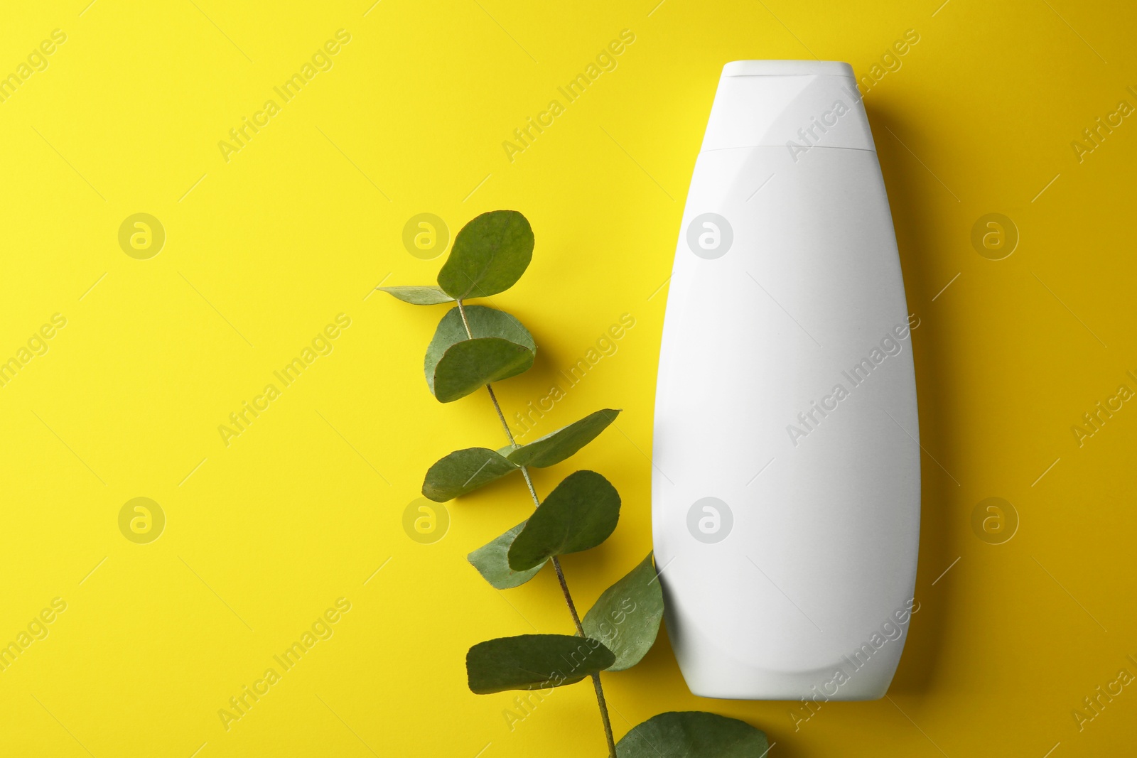 Photo of Bottle of shampoo and eucalyptus branch on yellow background, flat lay