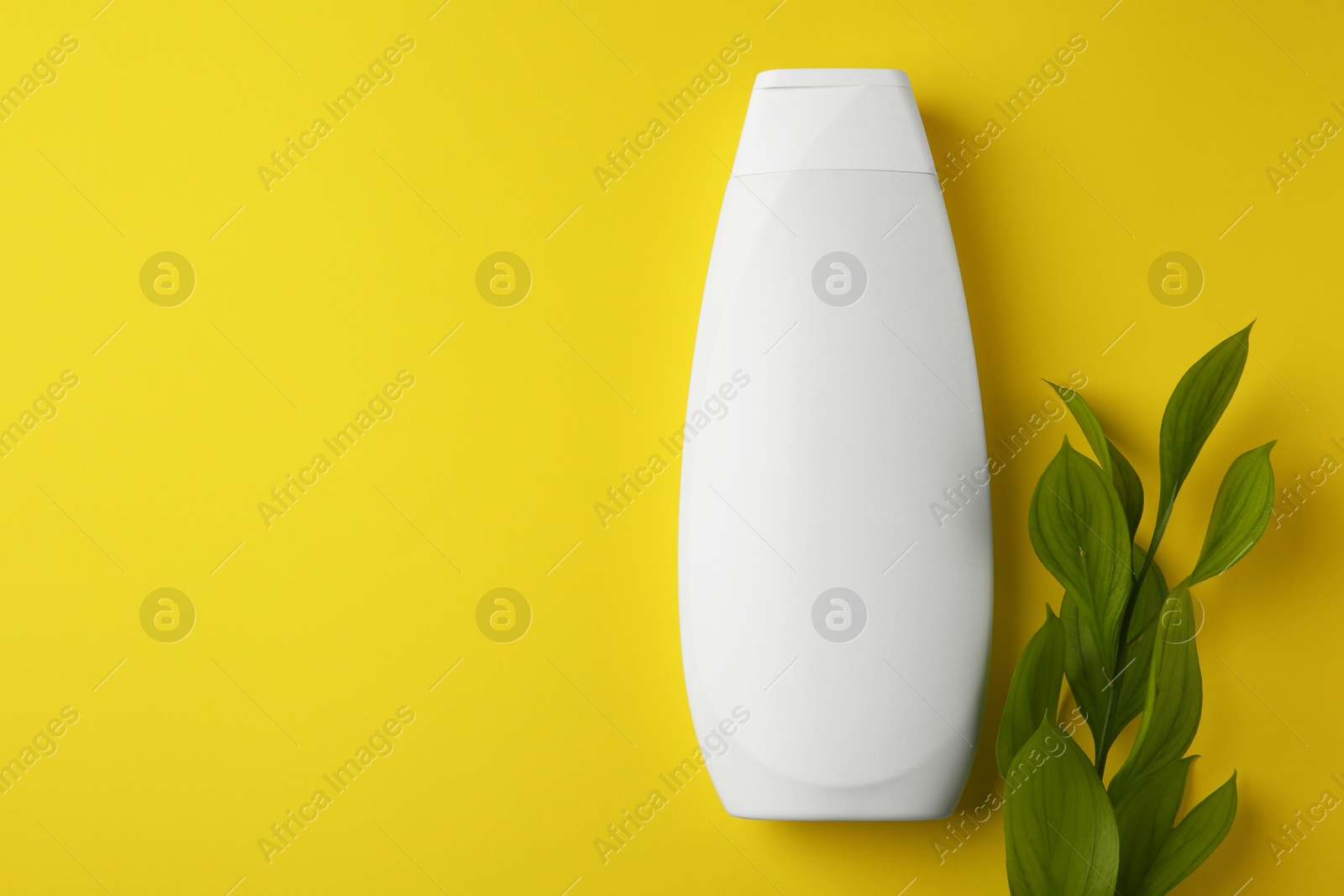 Photo of Bottle of shampoo and green branch on yellow background, flat lay. Space for text