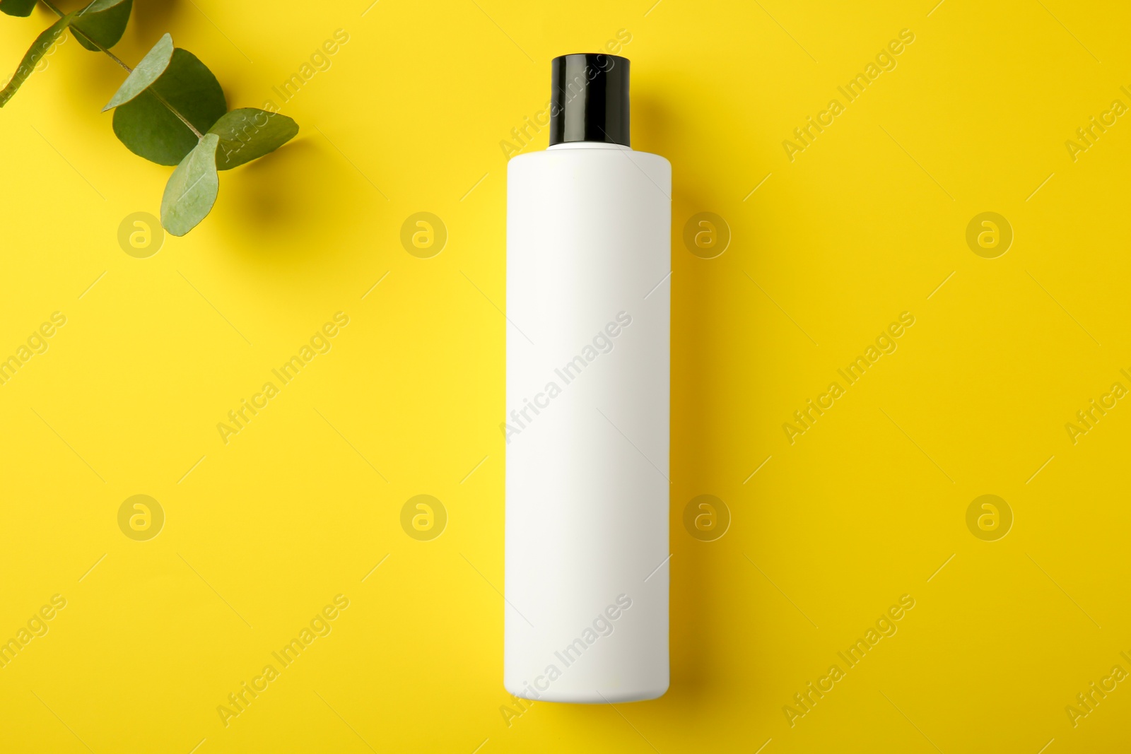 Photo of Bottle of shampoo and eucalyptus branch on yellow background, flat lay