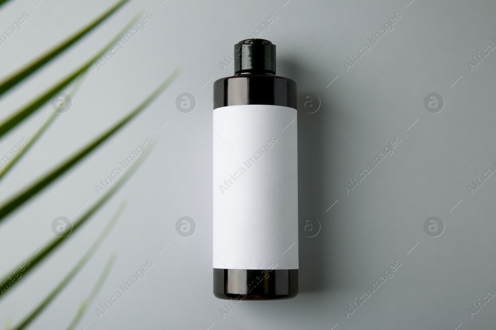 Photo of Bottle of shampoo on grey background, top view