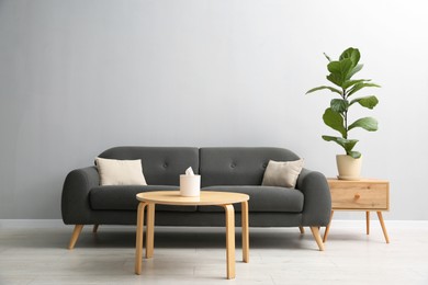 Comfortable sofa, tables and houseplant near grey wall in room