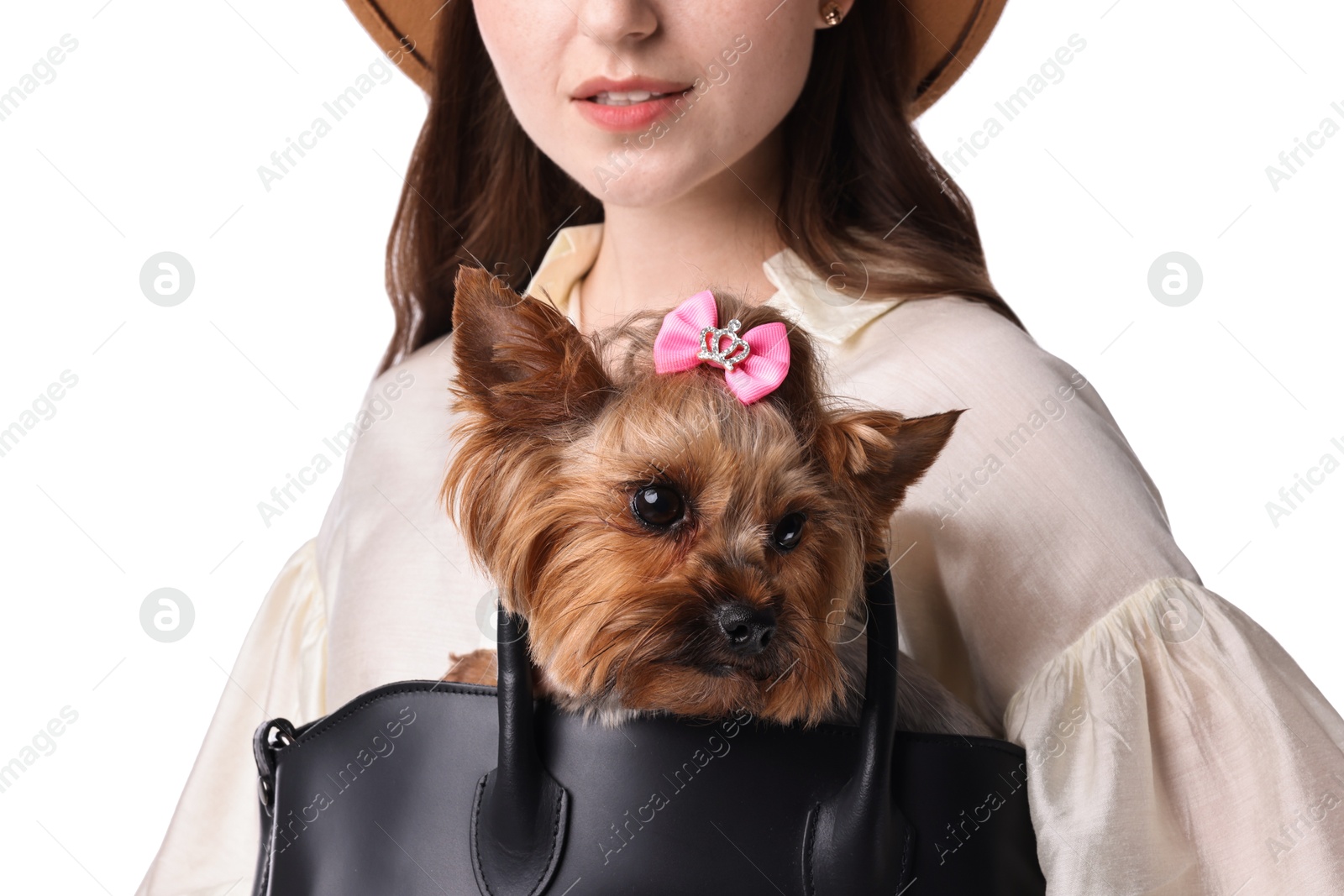 Photo of Young woman holding bag with cute Yorkshire Terrier dog isolated on white, closeup