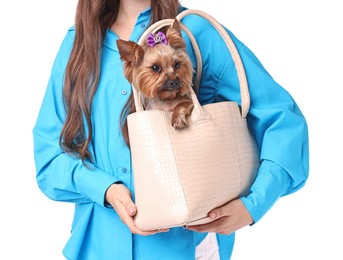 Photo of Woman carrying cute Yorkshire Terrier dog in bag isolated on white, closeup