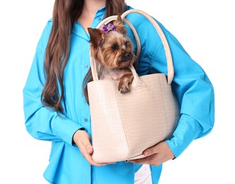 Woman carrying cute Yorkshire Terrier dog in bag isolated on white, closeup