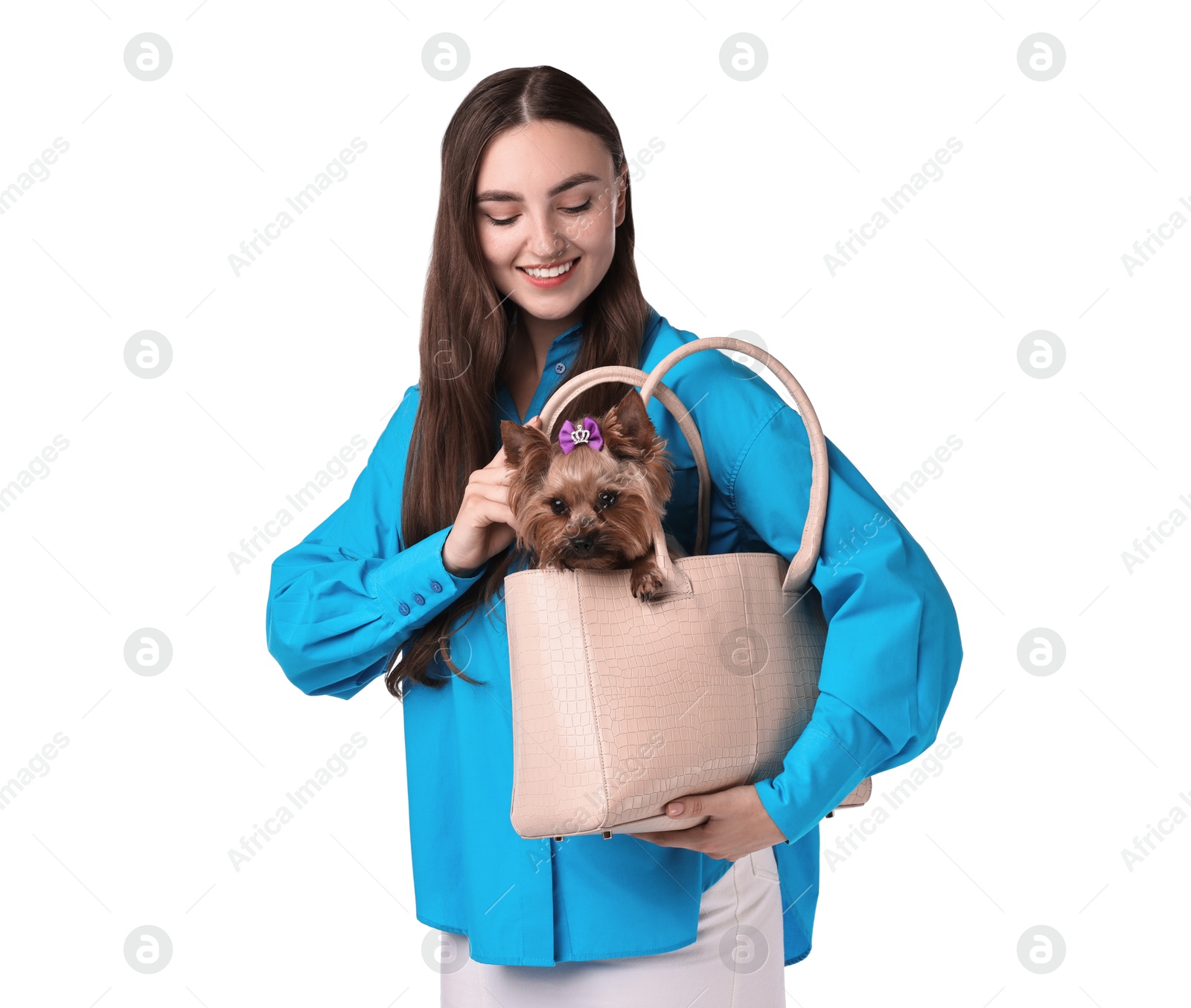 Photo of Beautiful young woman carrying cute Yorkshire Terrier dog in bag isolated on white