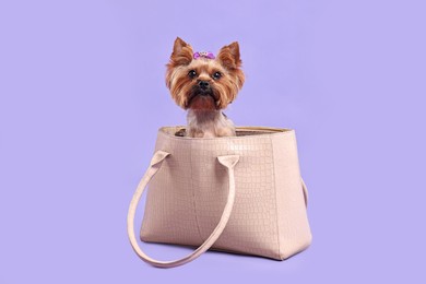 Photo of Cute Yorkshire Terrier dog in bag on violet background