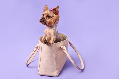 Photo of Cute Yorkshire Terrier dog in bag on violet background