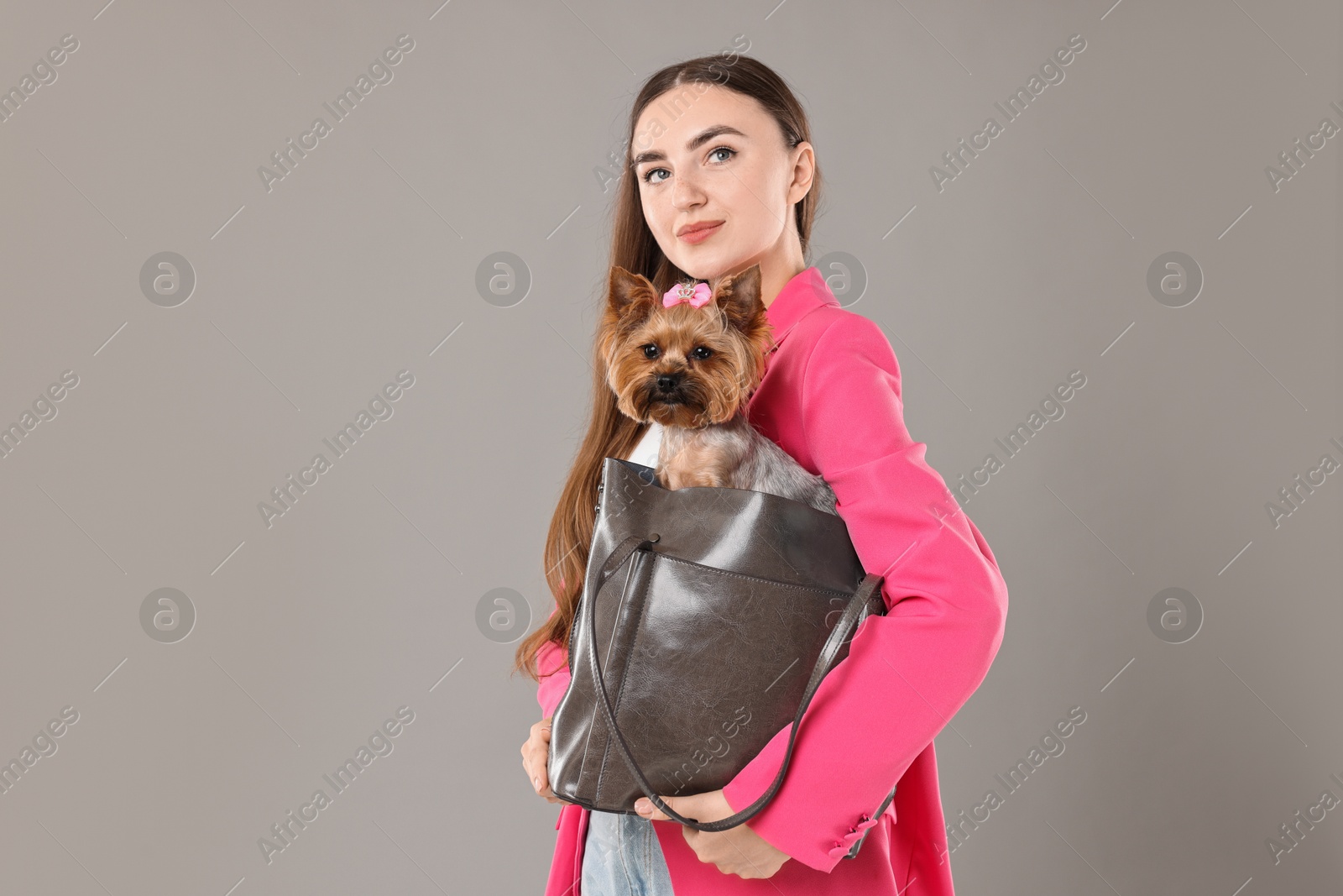 Photo of Beautiful young woman carrying cute Yorkshire Terrier dog in bag on grey background