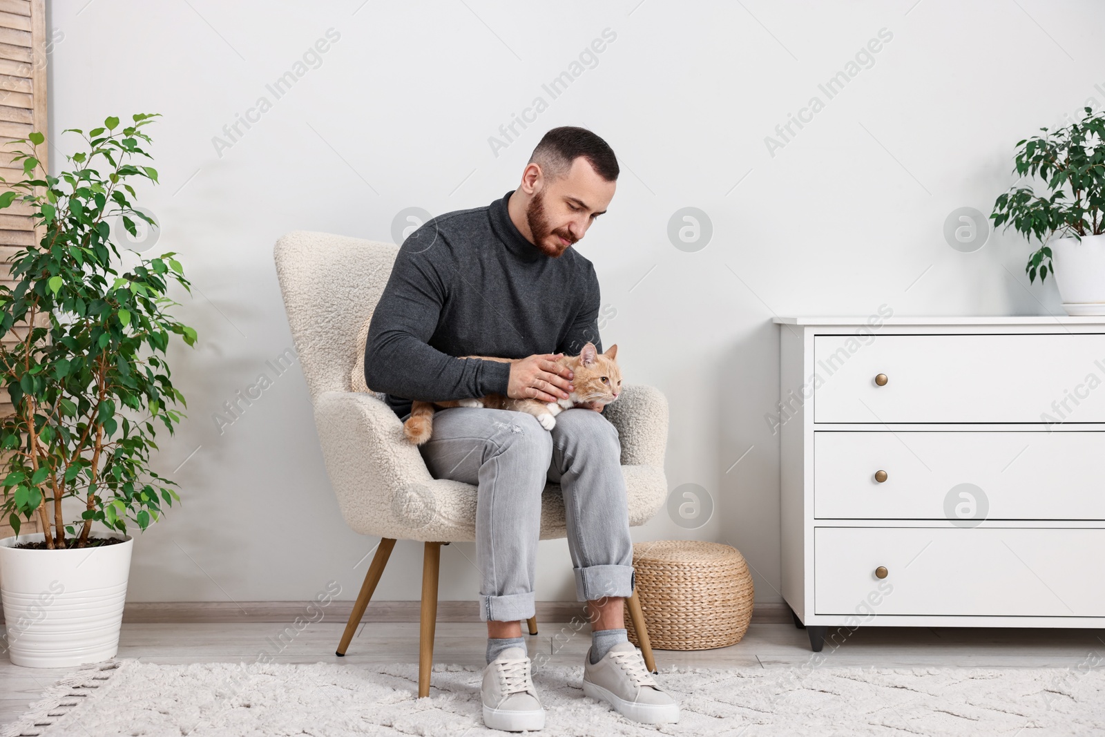 Photo of Man petting cute ginger cat on armchair at home