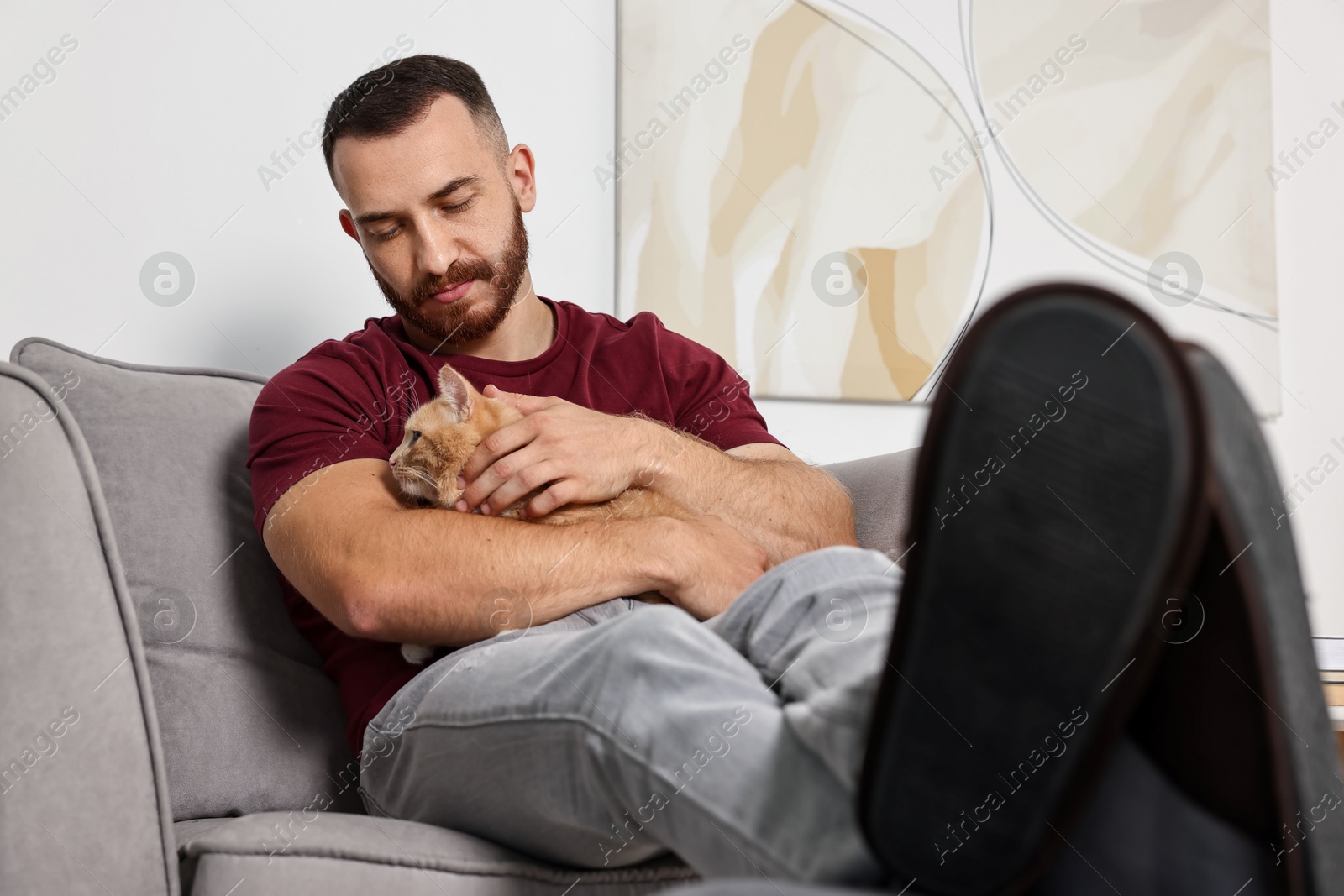 Photo of Man petting cute ginger cat on armchair at home