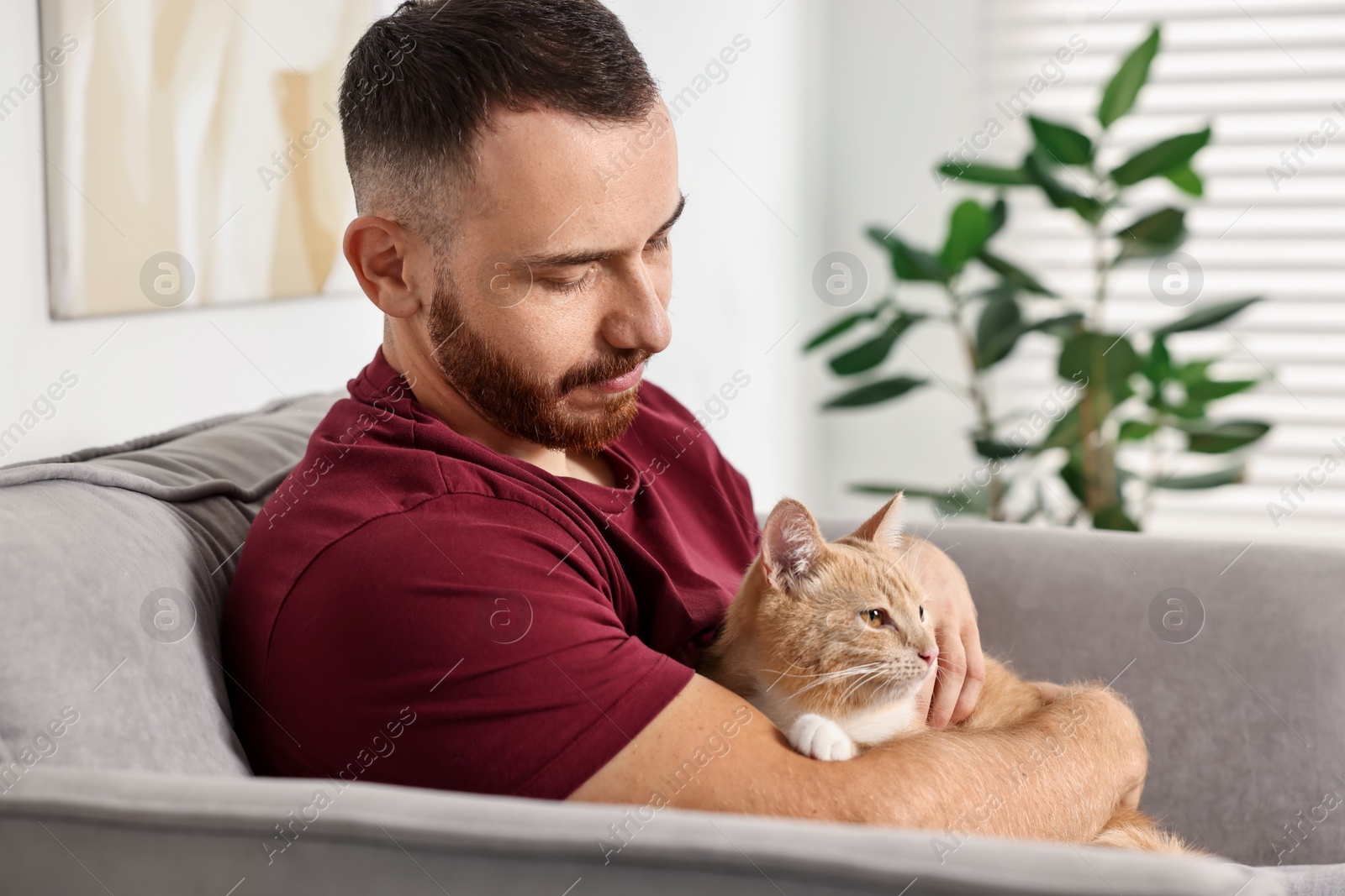 Photo of Man petting cute ginger cat on armchair at home