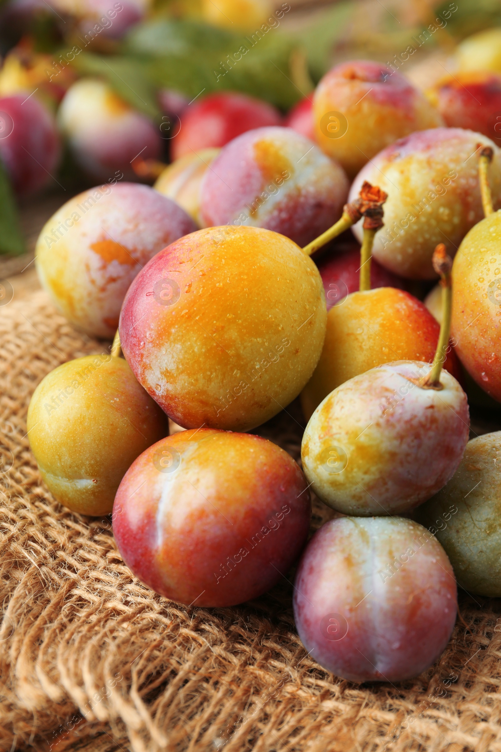 Photo of Pile of tasty ripe plums on table, closeup