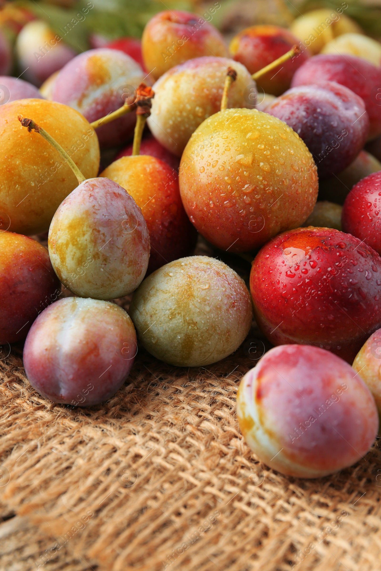 Photo of Pile of tasty ripe plums on table, closeup