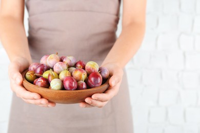 Photo of Woman holding bowl of ripe plums against white background, closeup