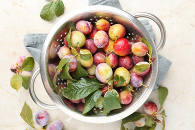 Photo of Ripe plums and leaves in colander on light table, flat lay