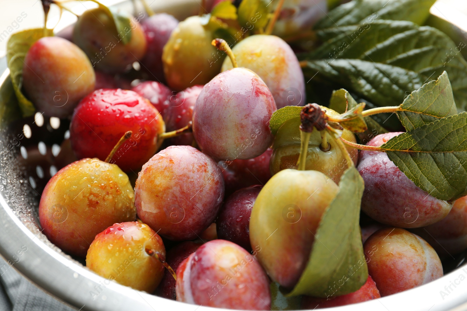 Photo of Ripe plums and leaves in colander on table, closeup