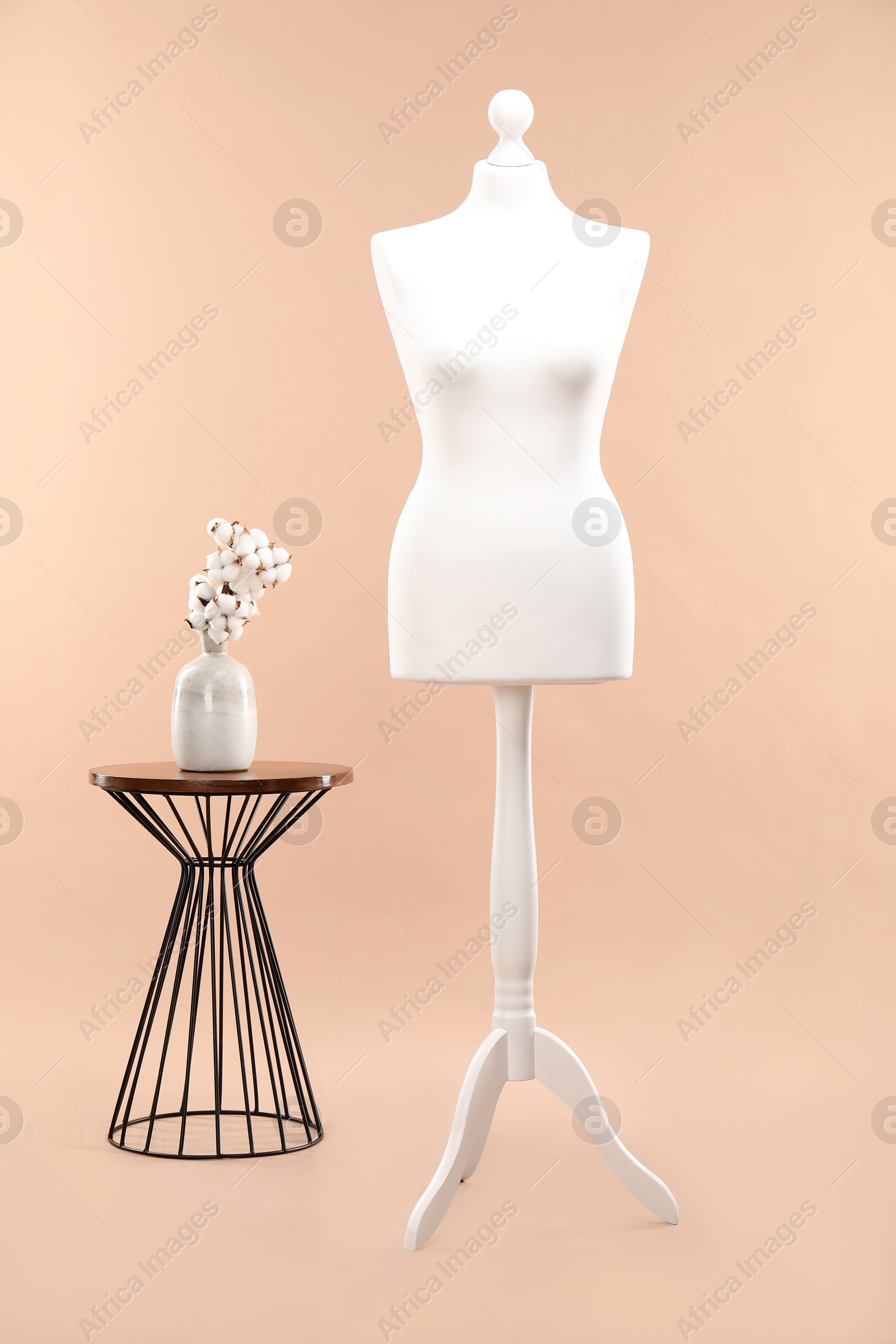 Photo of One female mannequin on stand and coffee table with cotton flowers against beige background