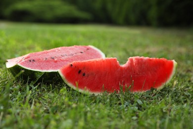 Photo of Cut juicy watermelon on green grass outdoors