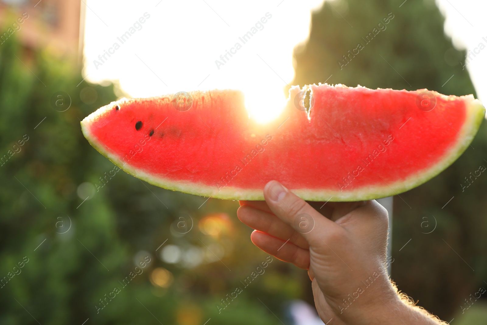 Photo of Man holding slice of juicy watermelon outdoors on sunny day, closeup