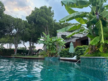 Swimming pool near beautiful trees. Luxury resort