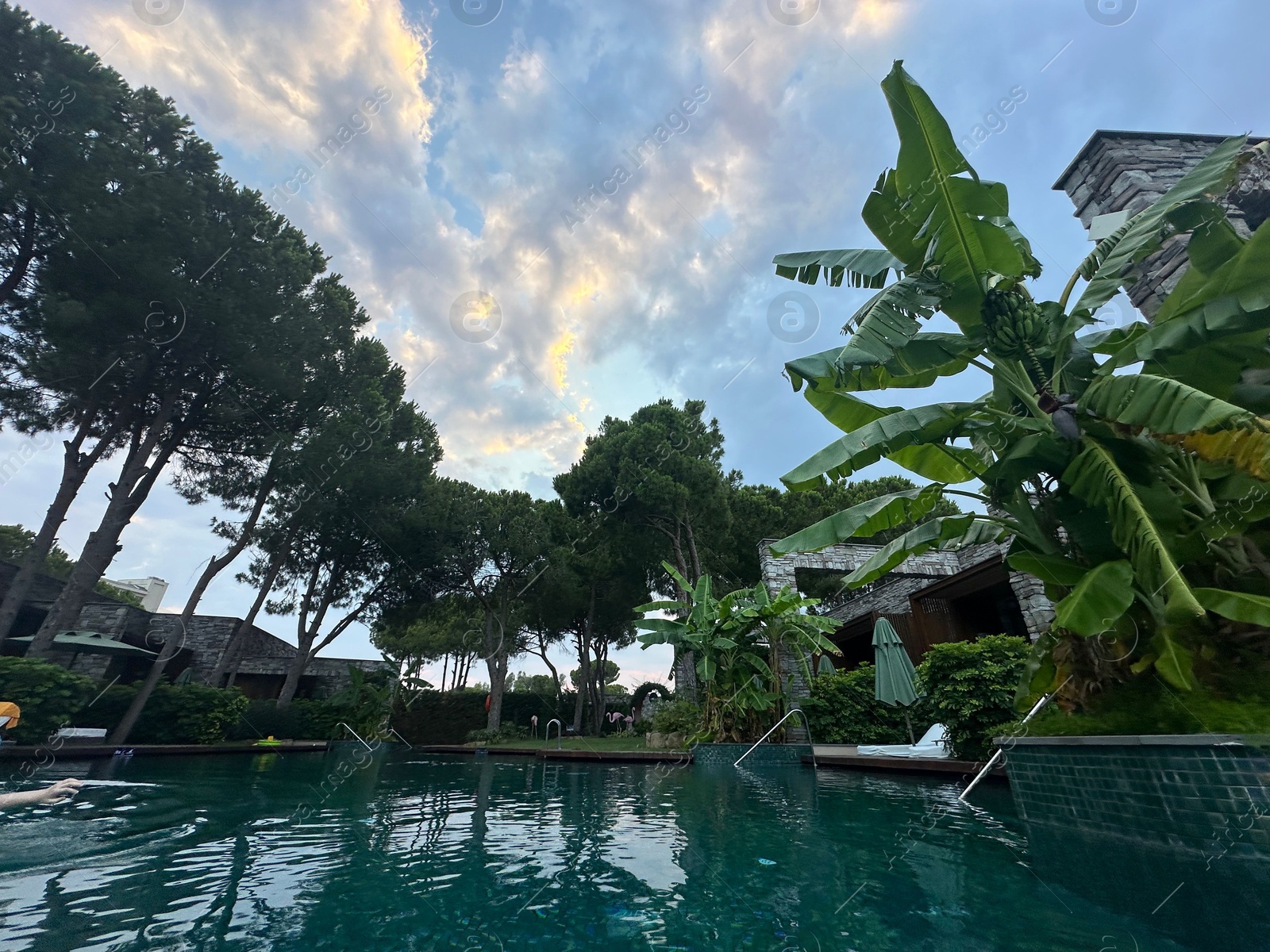 Photo of Swimming pool near beautiful trees. Luxury resort