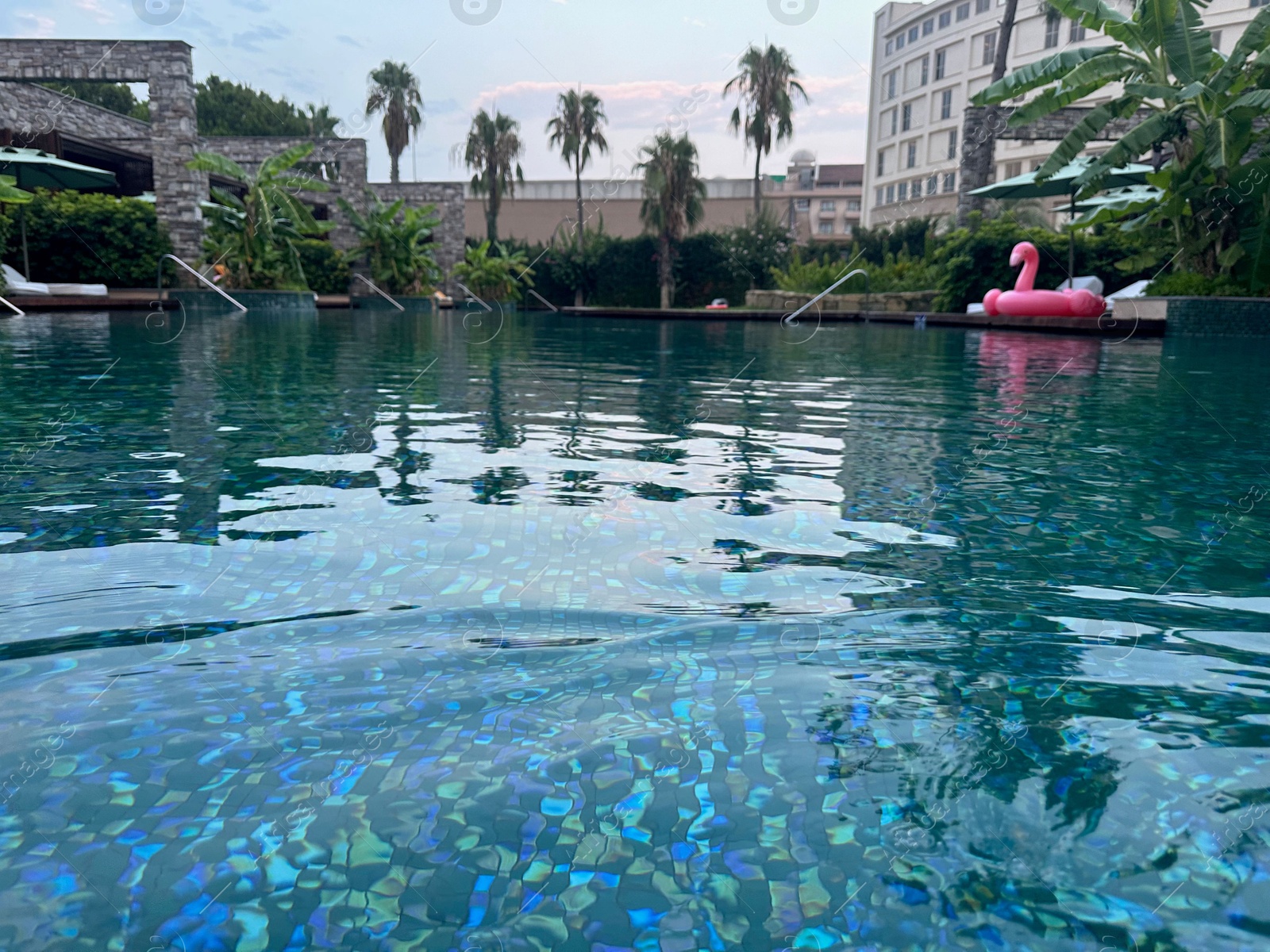 Photo of Swimming pool near beautiful trees. Luxury resort