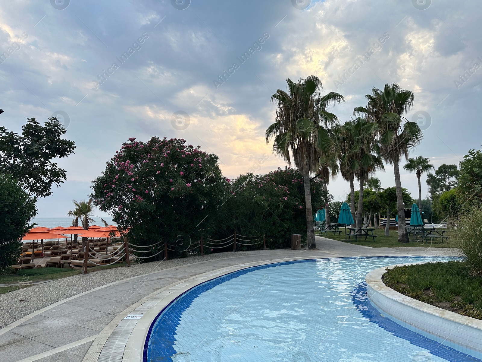 Photo of Swimming pool and beautiful plants on luxury resort